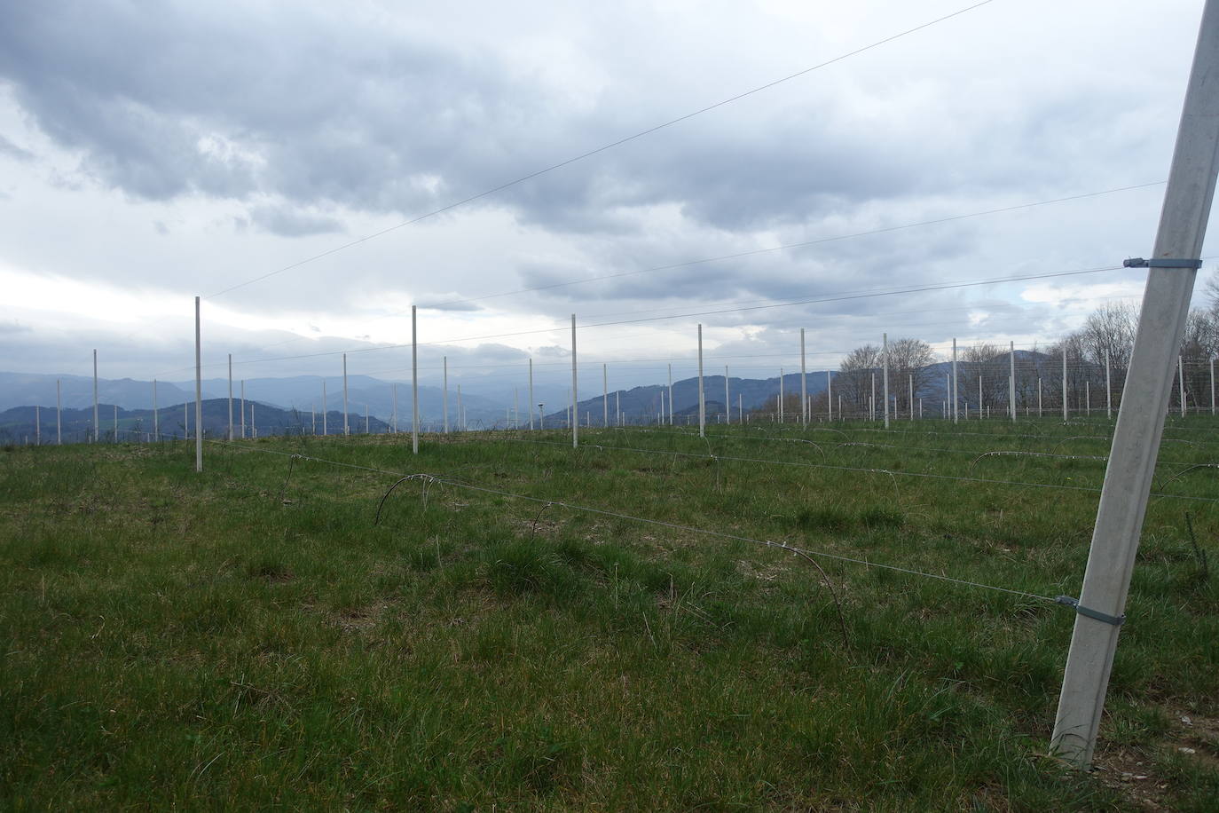 Fotos: Intxur, por el antiguo castro de Tolosaldea