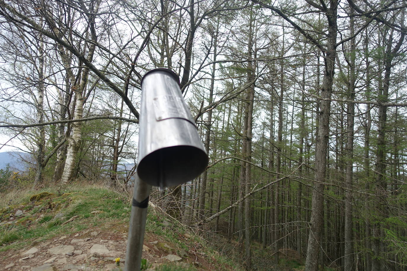 Fotos: Intxur, por el antiguo castro de Tolosaldea