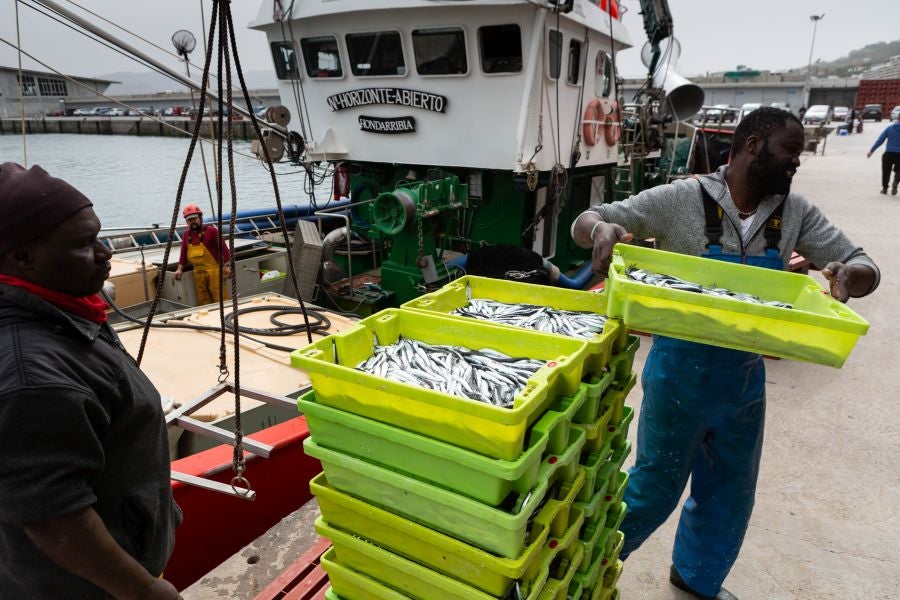 Fotos: La flota vuelve a la mar