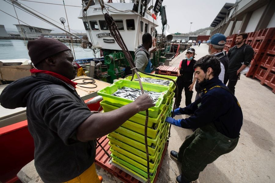 Fotos: La flota vuelve a la mar