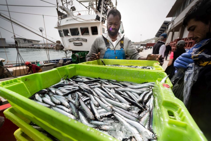 Fotos: La flota vuelve a la mar