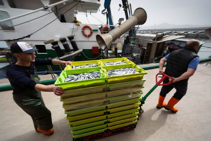 Fotos: La flota vuelve a la mar