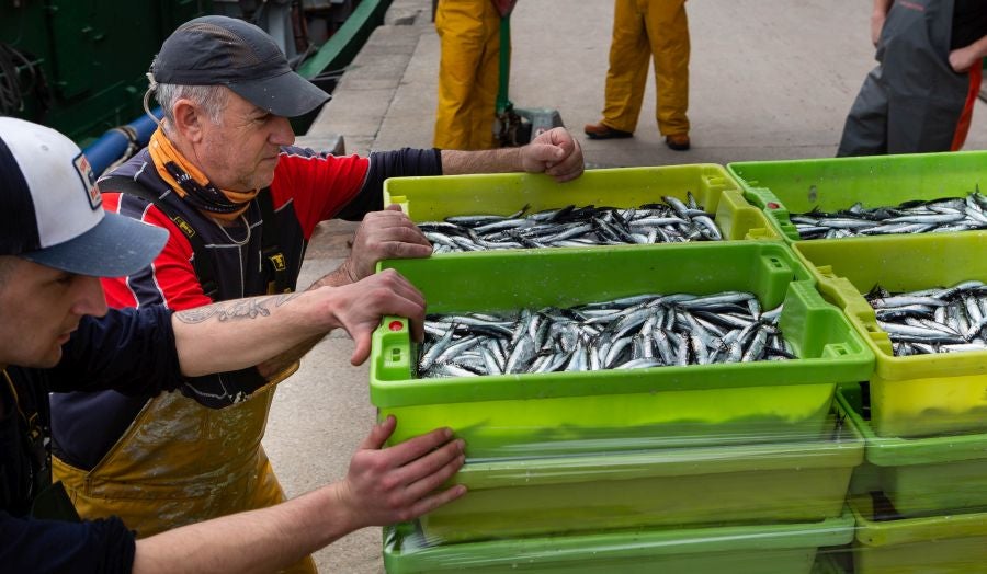 Fotos: La flota vuelve a la mar