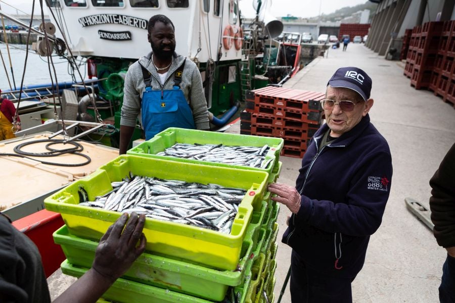 Fotos: La flota vuelve a la mar