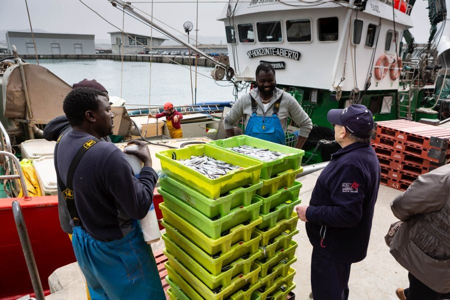 Fotos: La flota vuelve a la mar