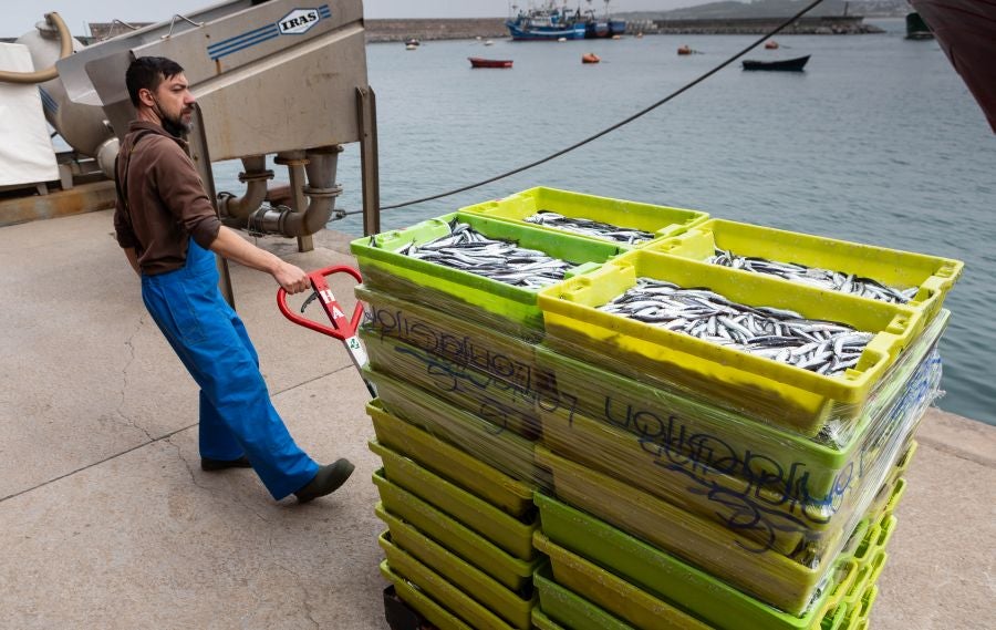 Fotos: La flota vuelve a la mar