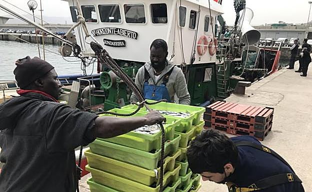 Descarga de anchoa este lunes en el puerto de Hondarribia