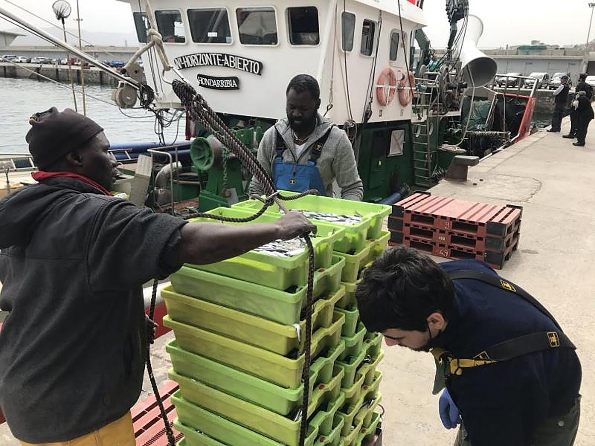 Fotos: La flota vuelve a la mar