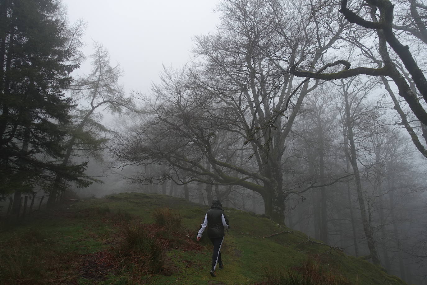 Fotos: Urepel, el señor de las mugas por siglos