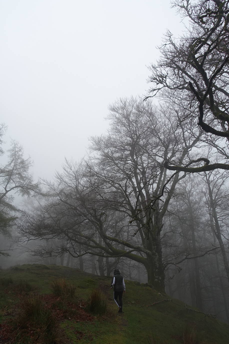 Fotos: Urepel, el señor de las mugas por siglos