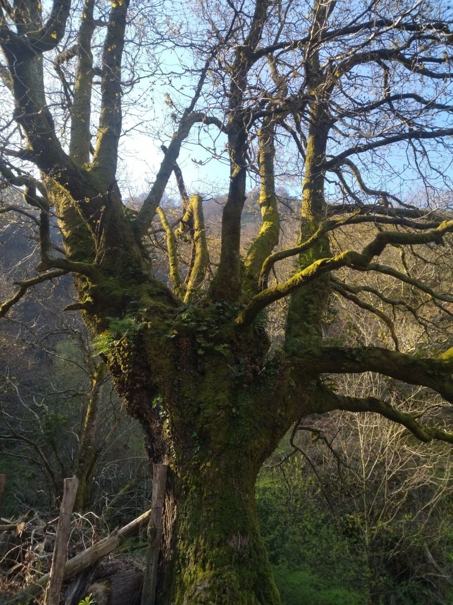 Fotos: Kopako harria, a los pies de la gran mole