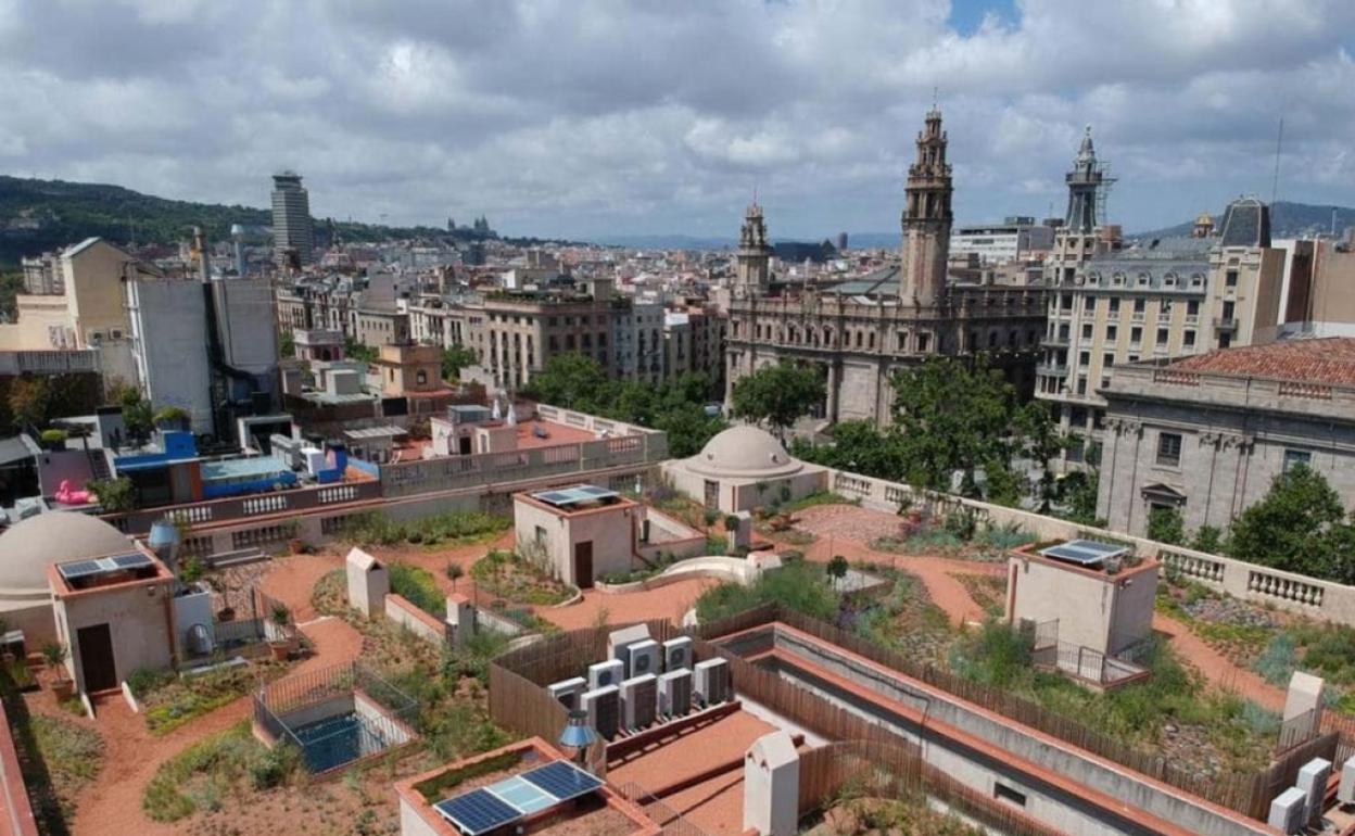 Terrats d'en Xifré, proyecto premiado que convierte la azotea de 11 edificios de una manzana de Barcelona en un jardín sostenible.  