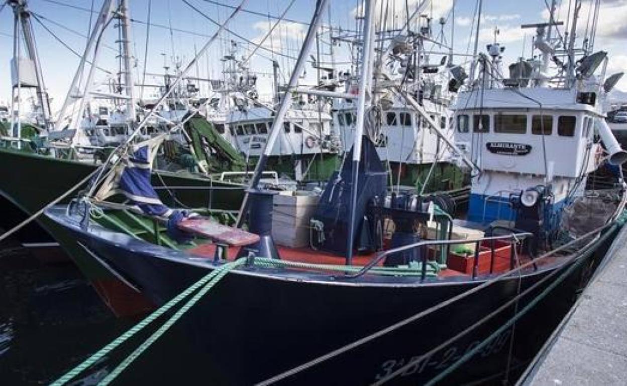 Pesqueros en Hondarribia.