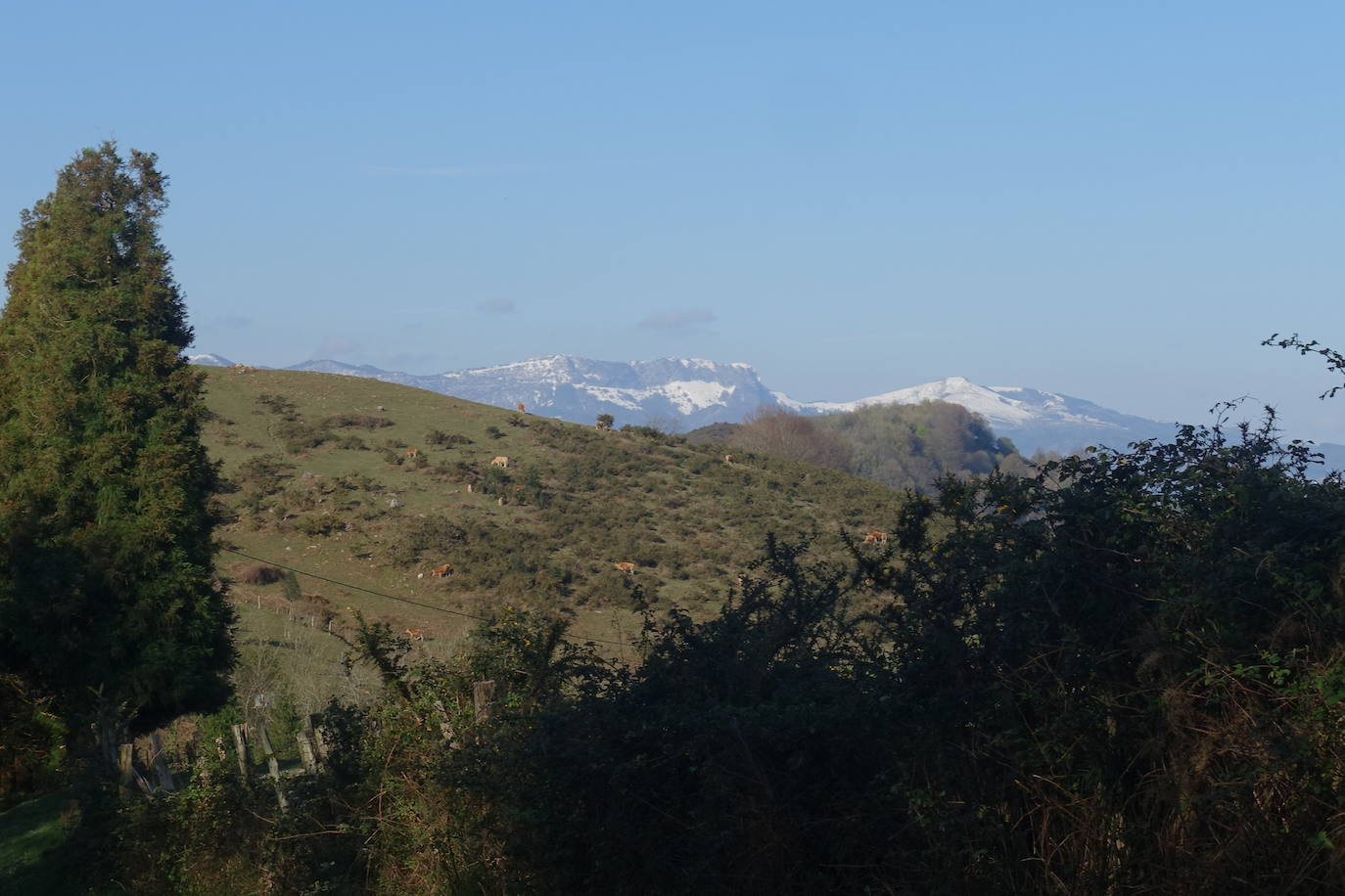 Fotos: Mulisko gaina. La magia materializada