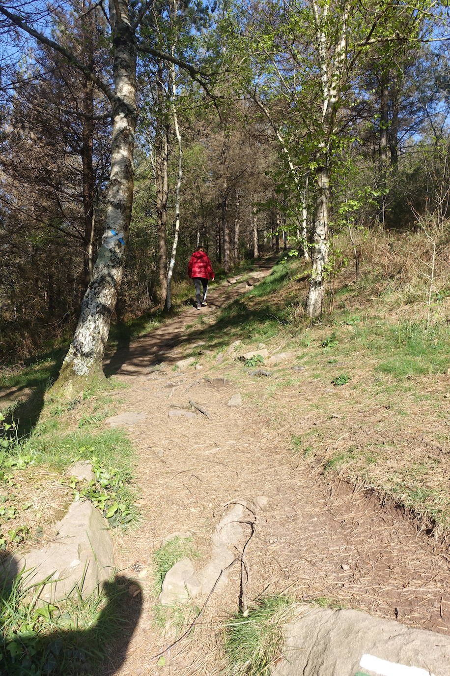 Fotos: Mulisko gaina. La magia materializada