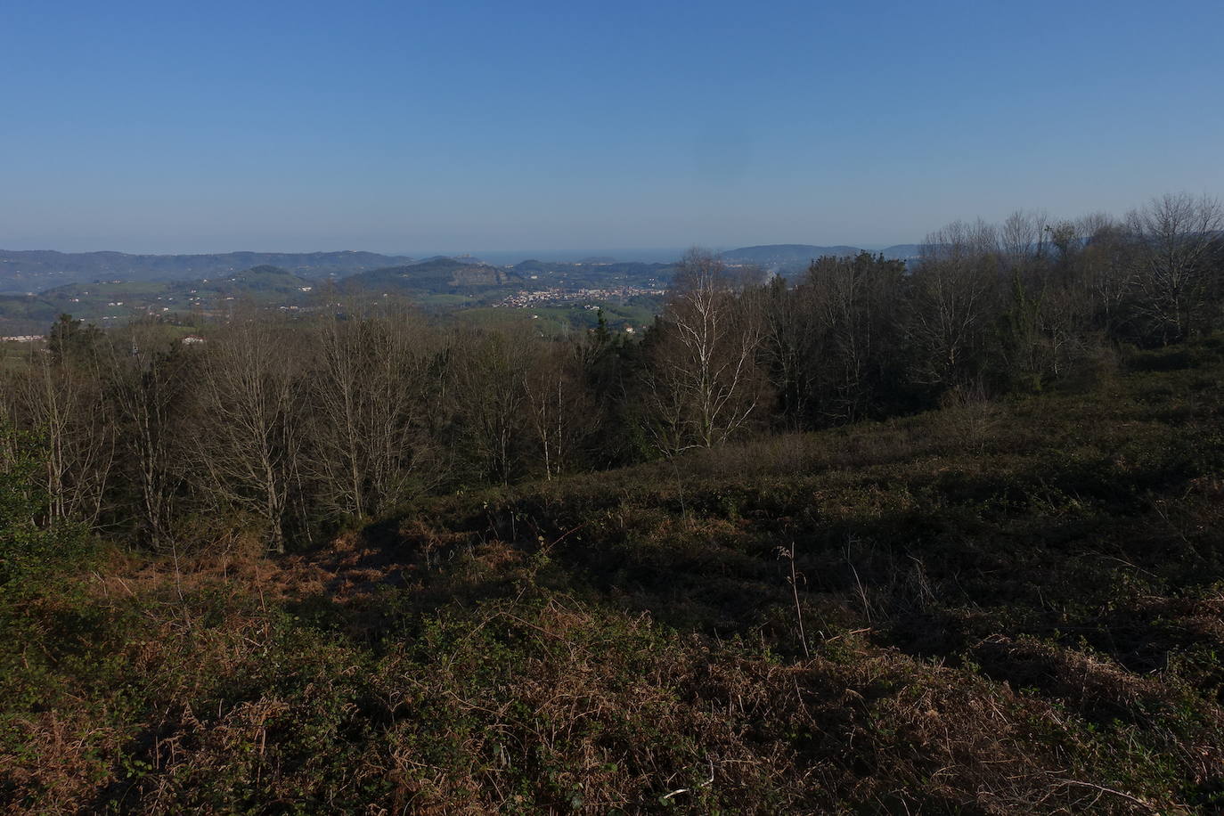 Fotos: Mulisko gaina. La magia materializada