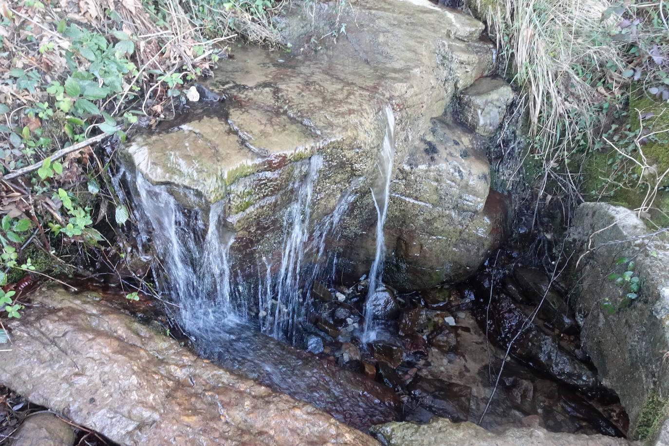 Fotos: Mulisko gaina. La magia materializada