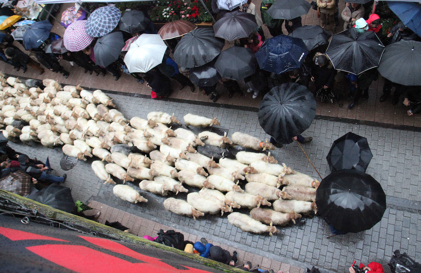 Fotos: Las mejores imágenes del Artzain eguna