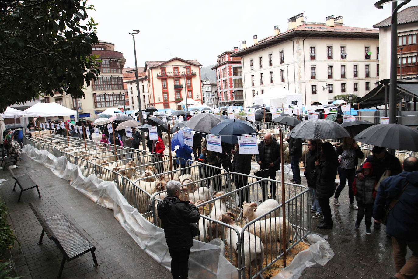 Fotos: Las mejores imágenes del Artzain eguna