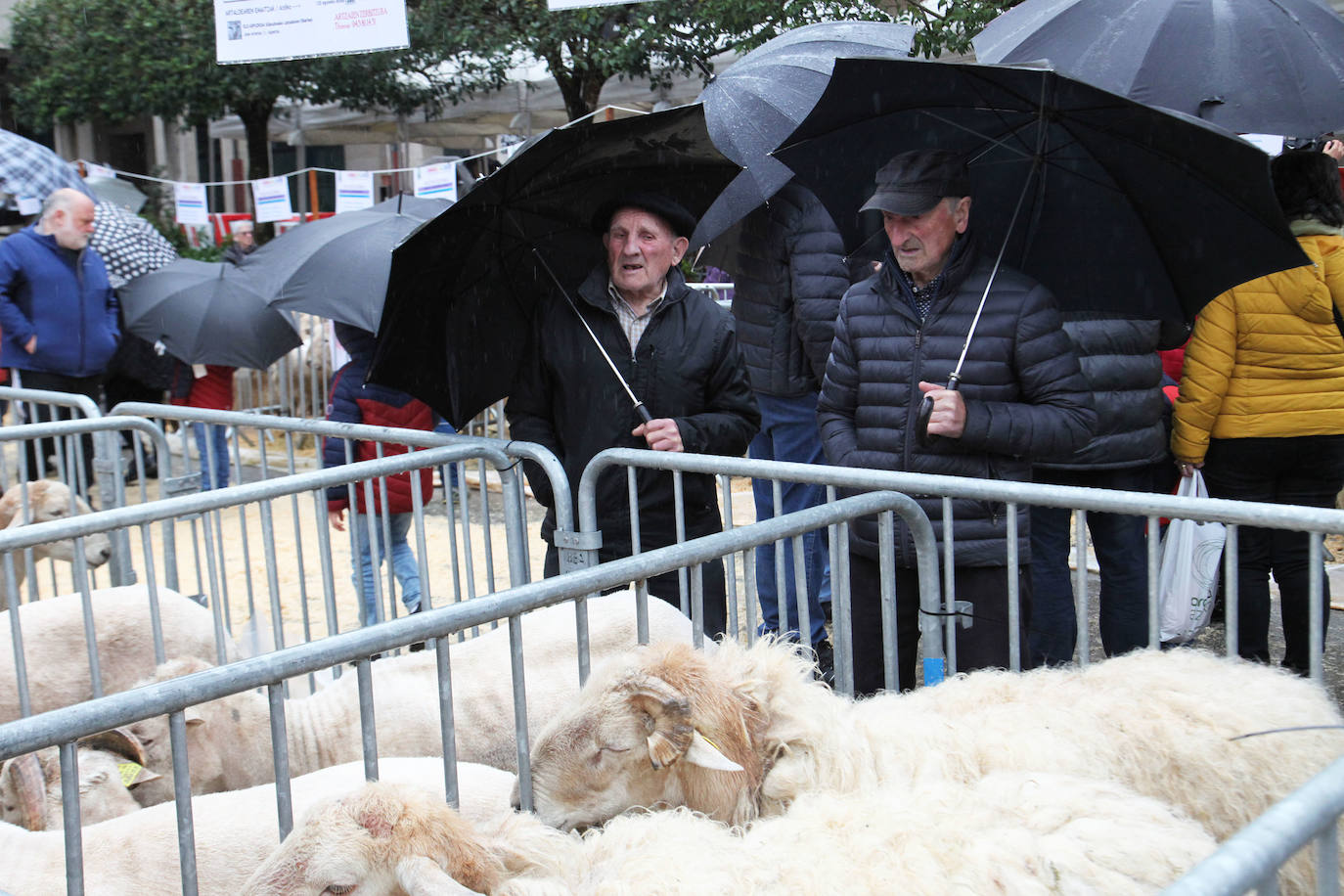 Fotos: Las mejores imágenes del Artzain eguna