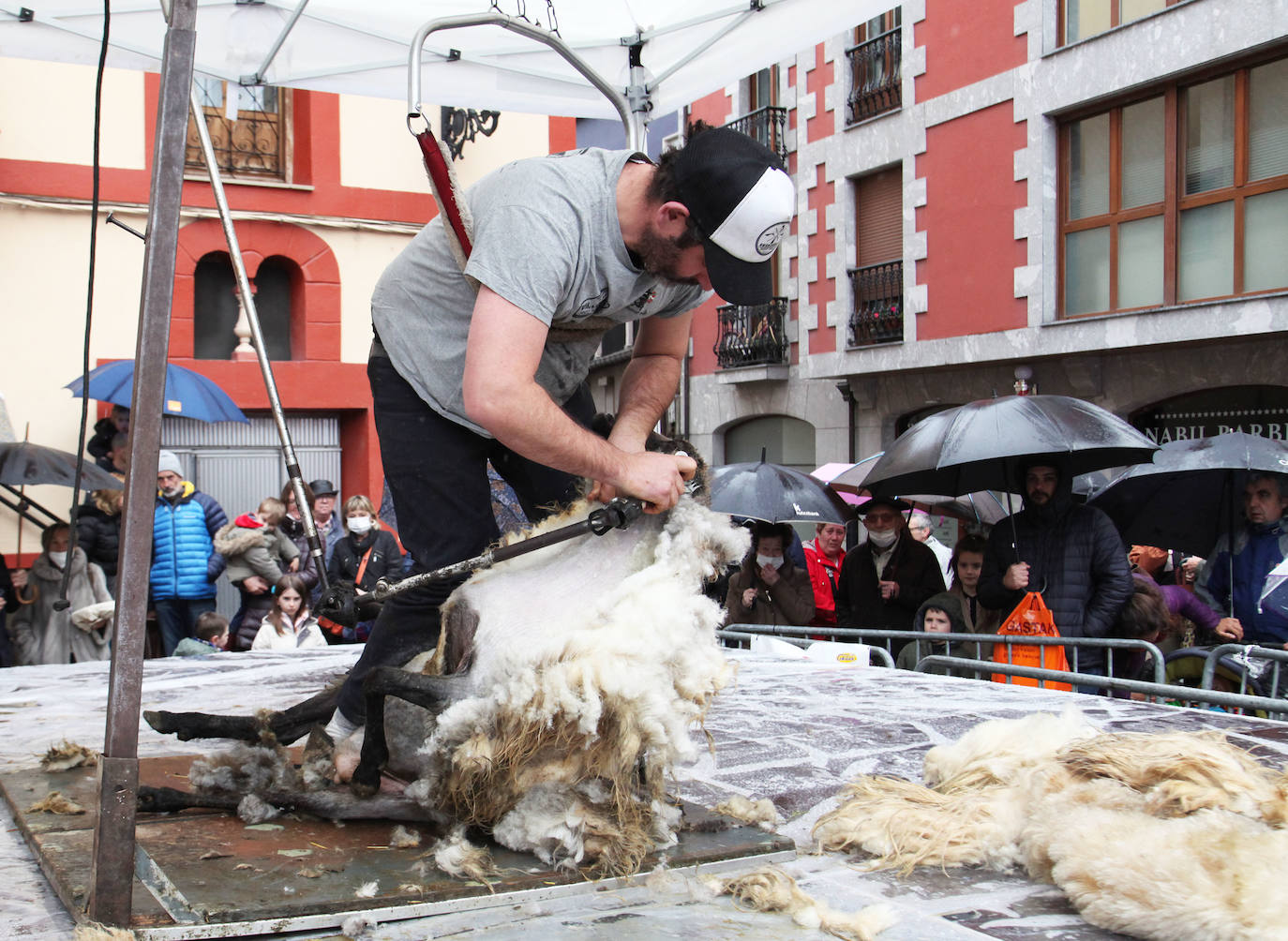 Fotos: Las mejores imágenes del Artzain eguna