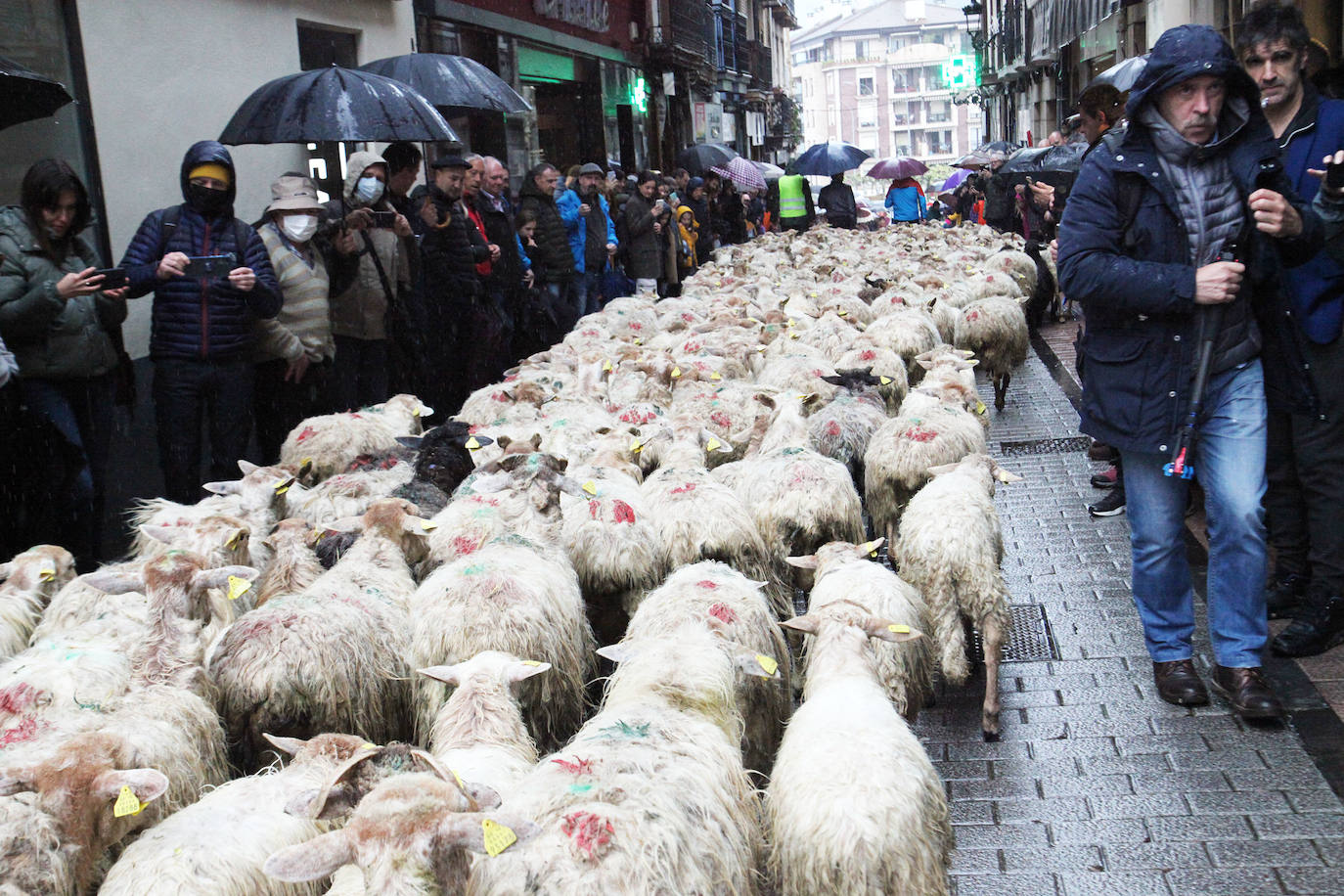 Fotos: Las mejores imágenes del Artzain eguna