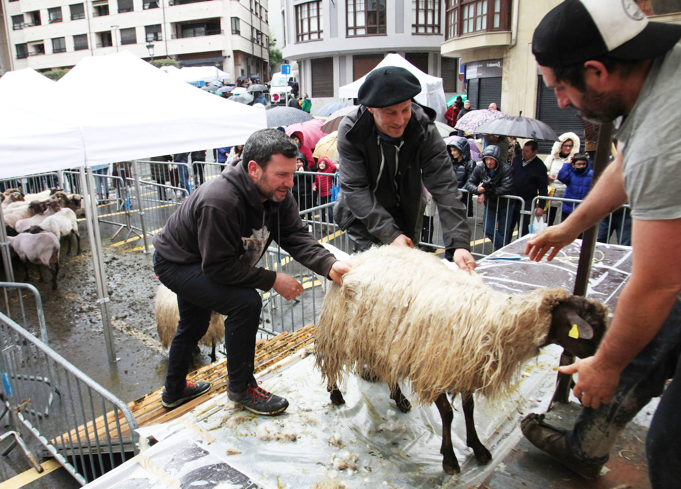 Fotos: Las mejores imágenes del Artzain eguna