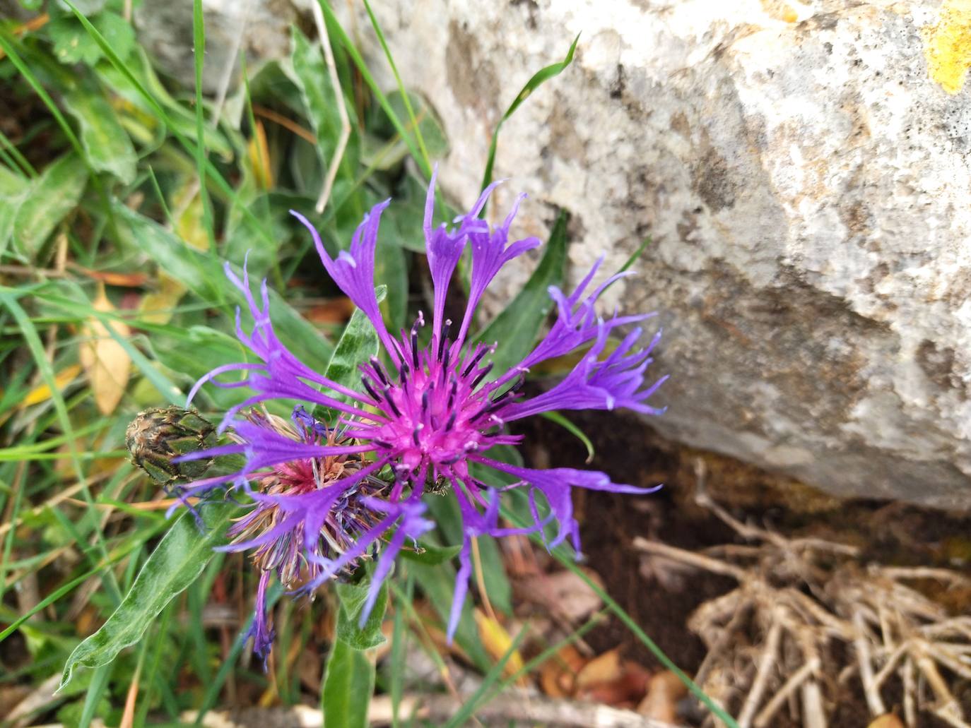 Fotos: Aitxita. La fortaleza de las Dos Hermanas