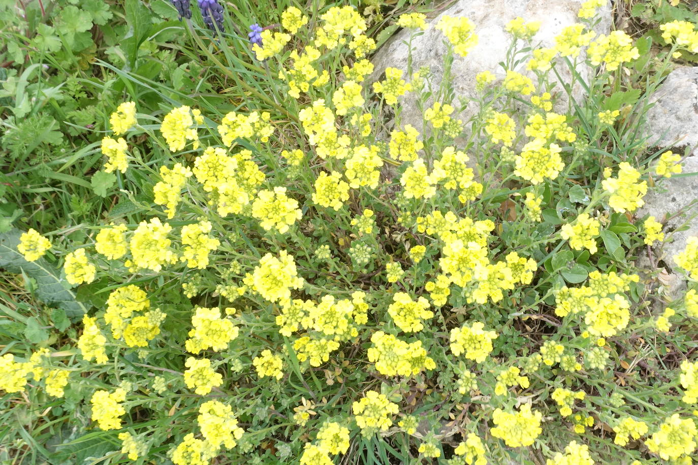 Fotos: Aitxita. La fortaleza de las Dos Hermanas