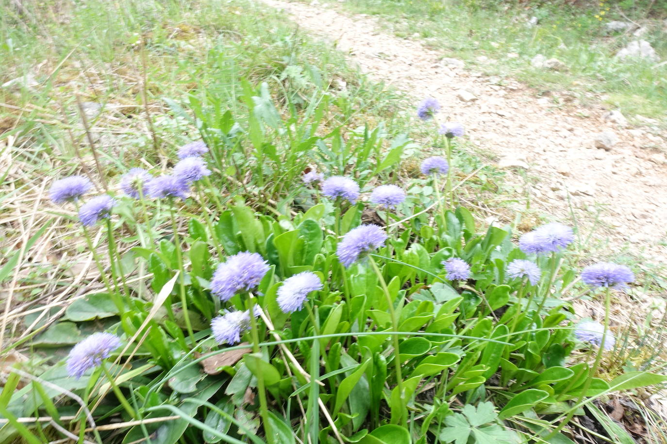 Fotos: Aitxita. La fortaleza de las Dos Hermanas