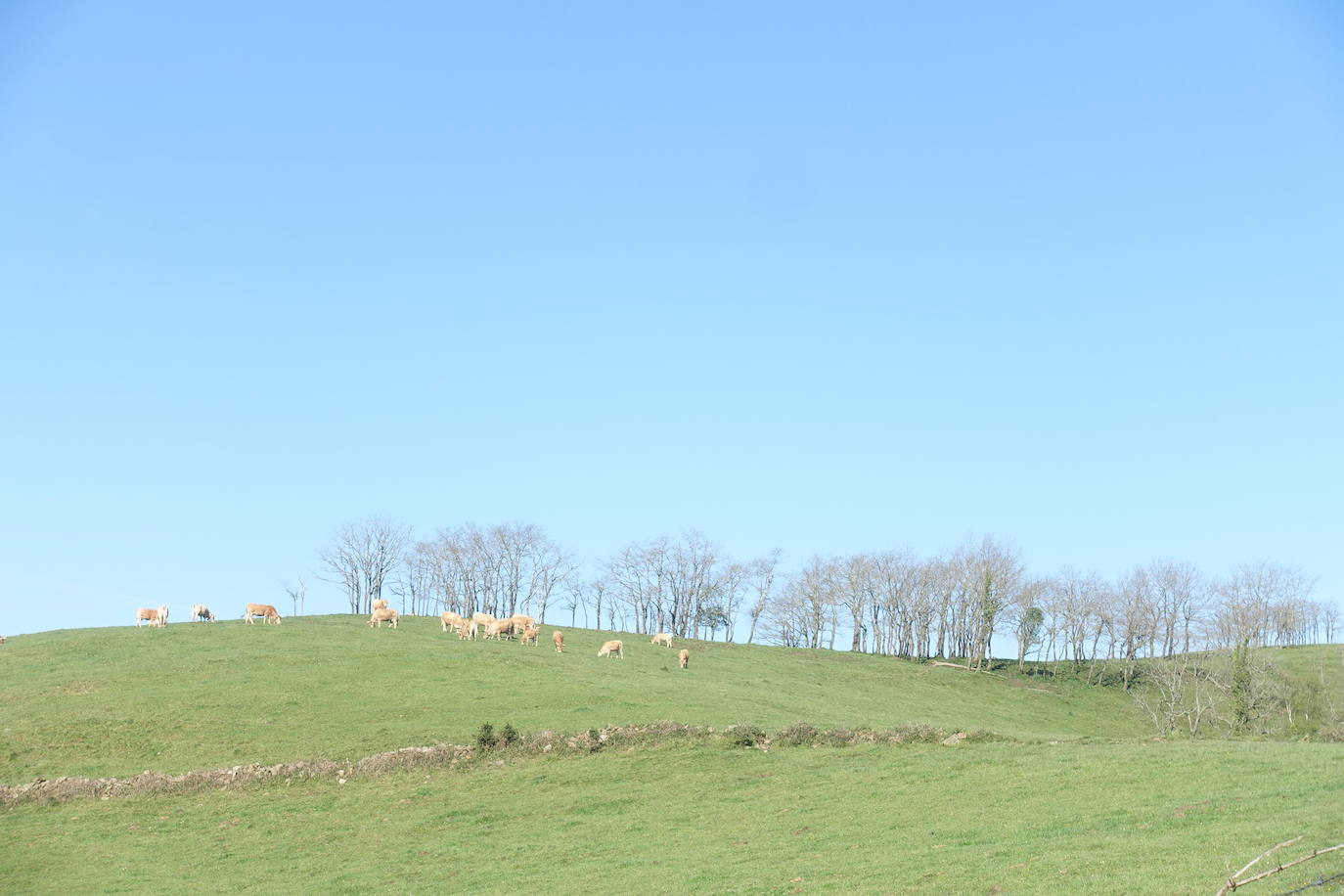 Fotos: Andatza. A pocos kilómetros del mar