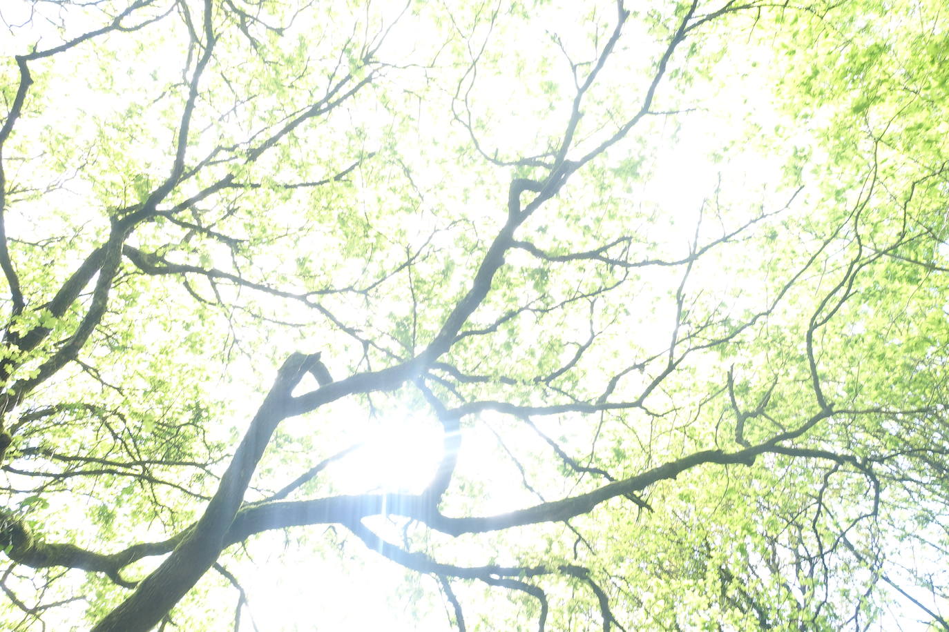 Fotos: Andatza. A pocos kilómetros del mar