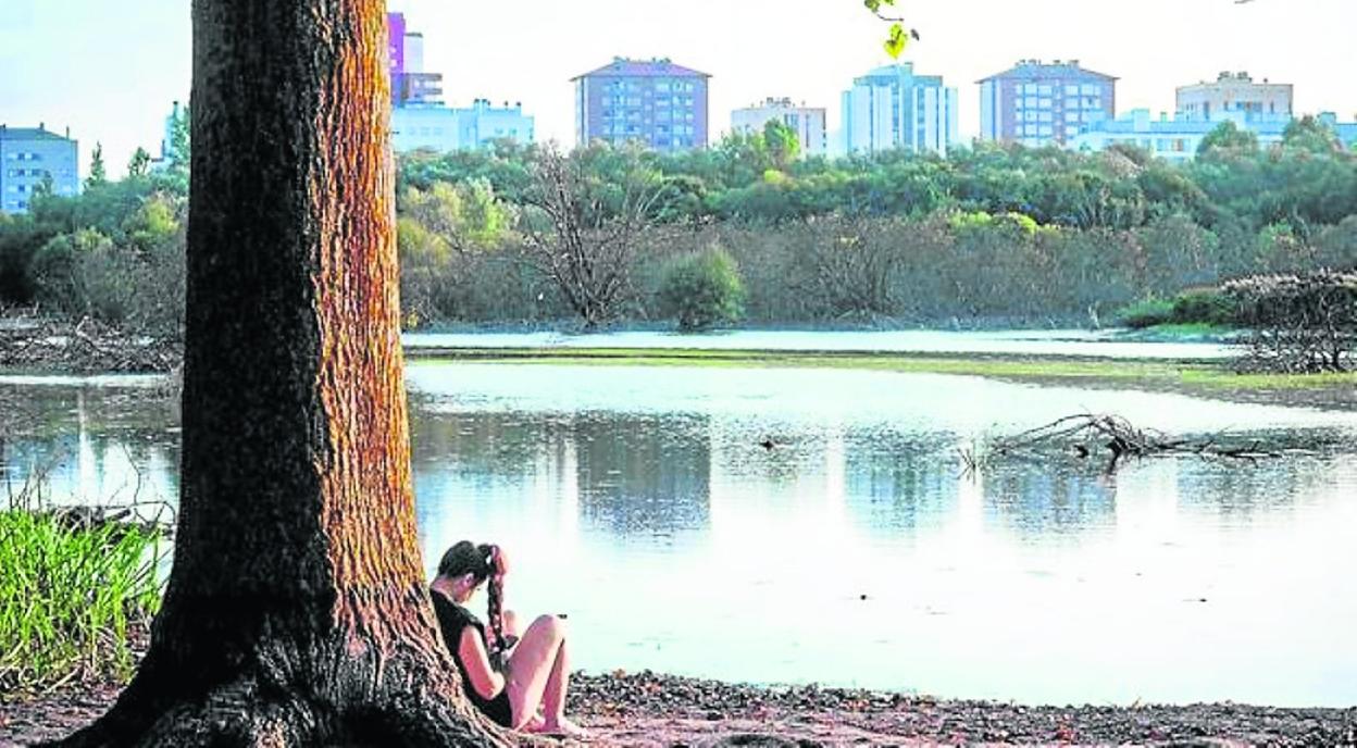 Un parque del Anillo Verde de Vitoria. 