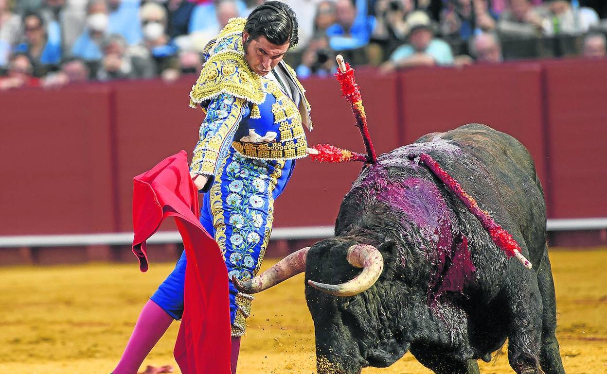 Morante de la Puebla, en la imagen en la Maestranza de Sevilla, estará en Azpeitia el 1 de agosto.