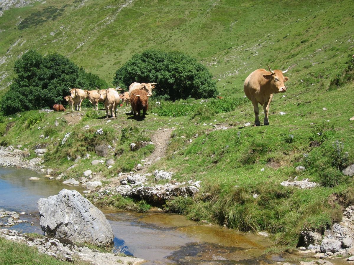 Fotos: Igaratza, paraíso de antiguos oficios