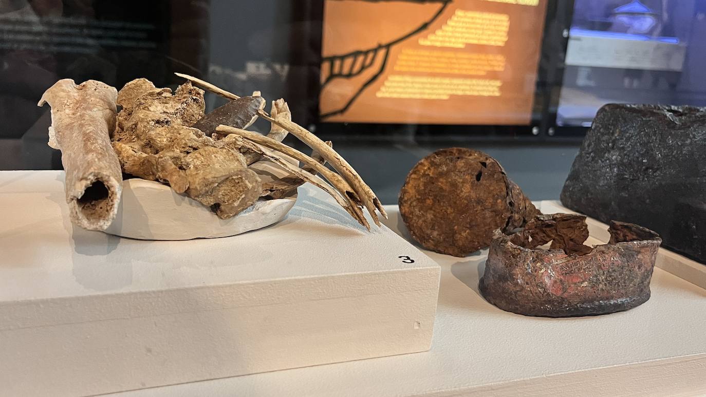 Fotos: El Museo Romano Oiasso homenajea a los &#039;gigantes&#039; de la arqueología vasca