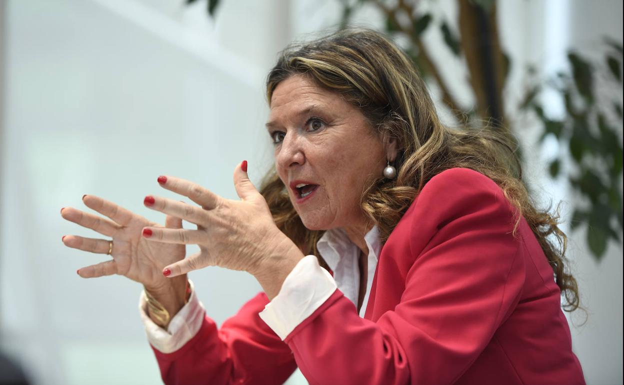 Ampliaciones y nuevos edificios en cinco hospitales de Gipuzkoa