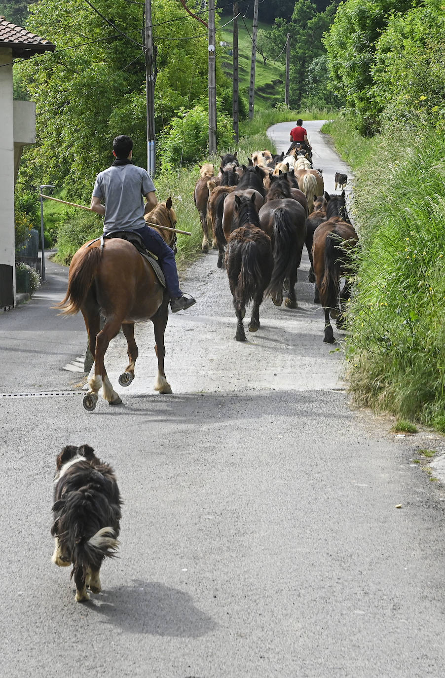 Fotos: Desde Azpeitia hasta Aralar para disfrutar de los pastos