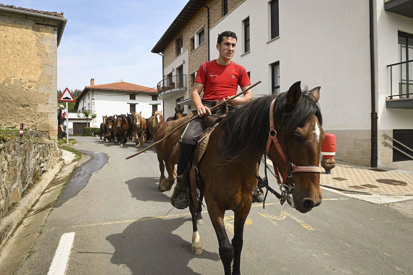 Fotos: Desde Azpeitia hasta Aralar para disfrutar de los pastos