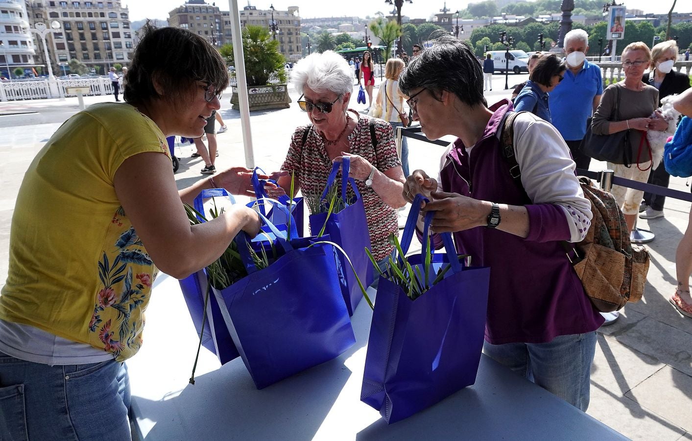 Fotos: Reparto de plantas y bulbos en San Sebastián