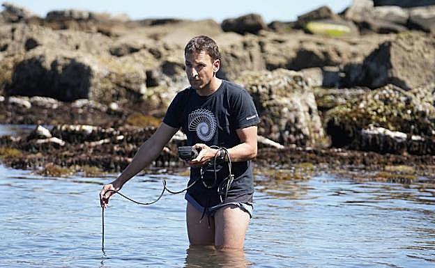 Sergio Seoane | Doctor en Biología: «Playas como Ondarreta o Itzurun con agua cálida son un paraíso para ellas»
