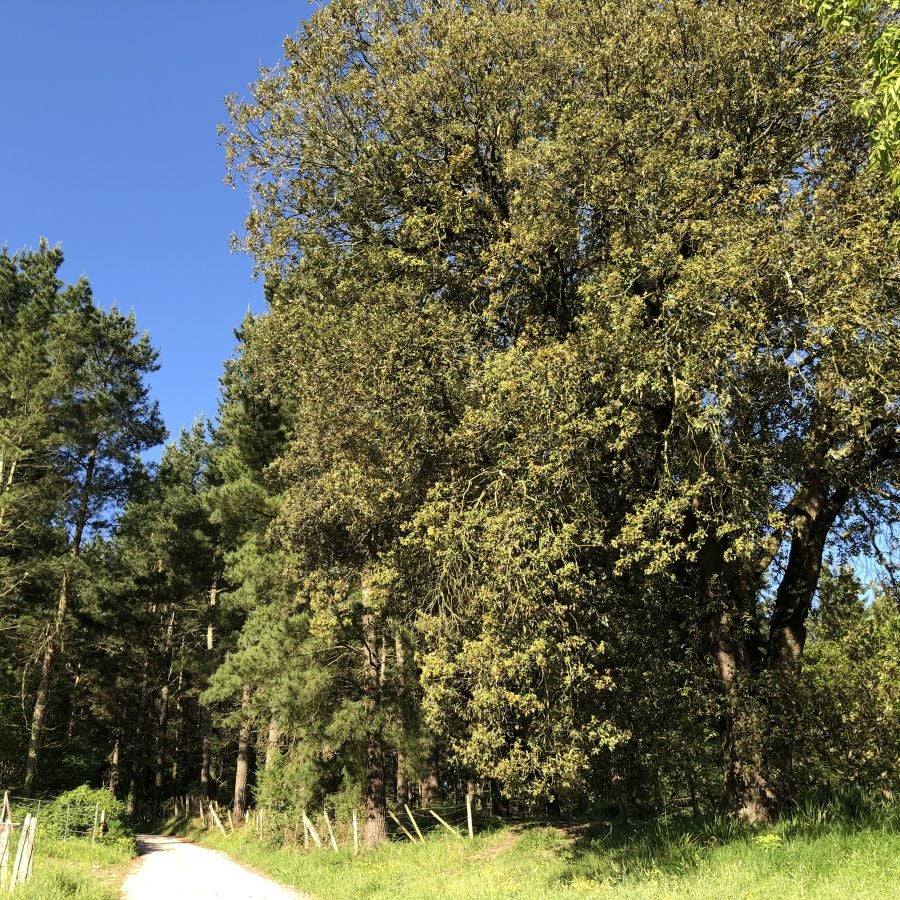 Fotos: Aitzorrotz, una cima con mucha historia