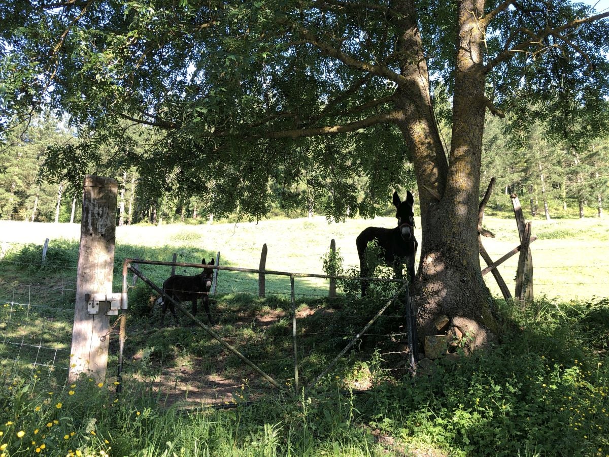 Fotos: Aitzorrotz, una cima con mucha historia