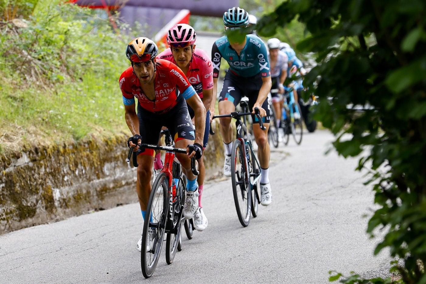 Mikel Landa, Carapaz y Hindley, tapado por la hoja de un árbol, en la ascensión al Valico di Santa Cristina. 