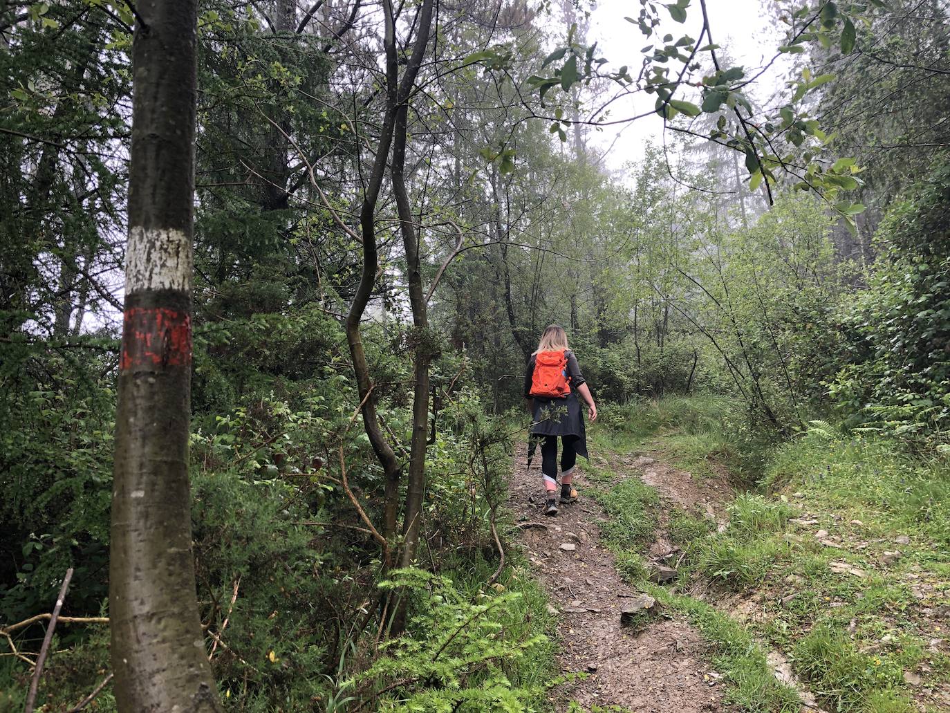 Fotos: Irukurutzeta, envuelta en un manto blanco