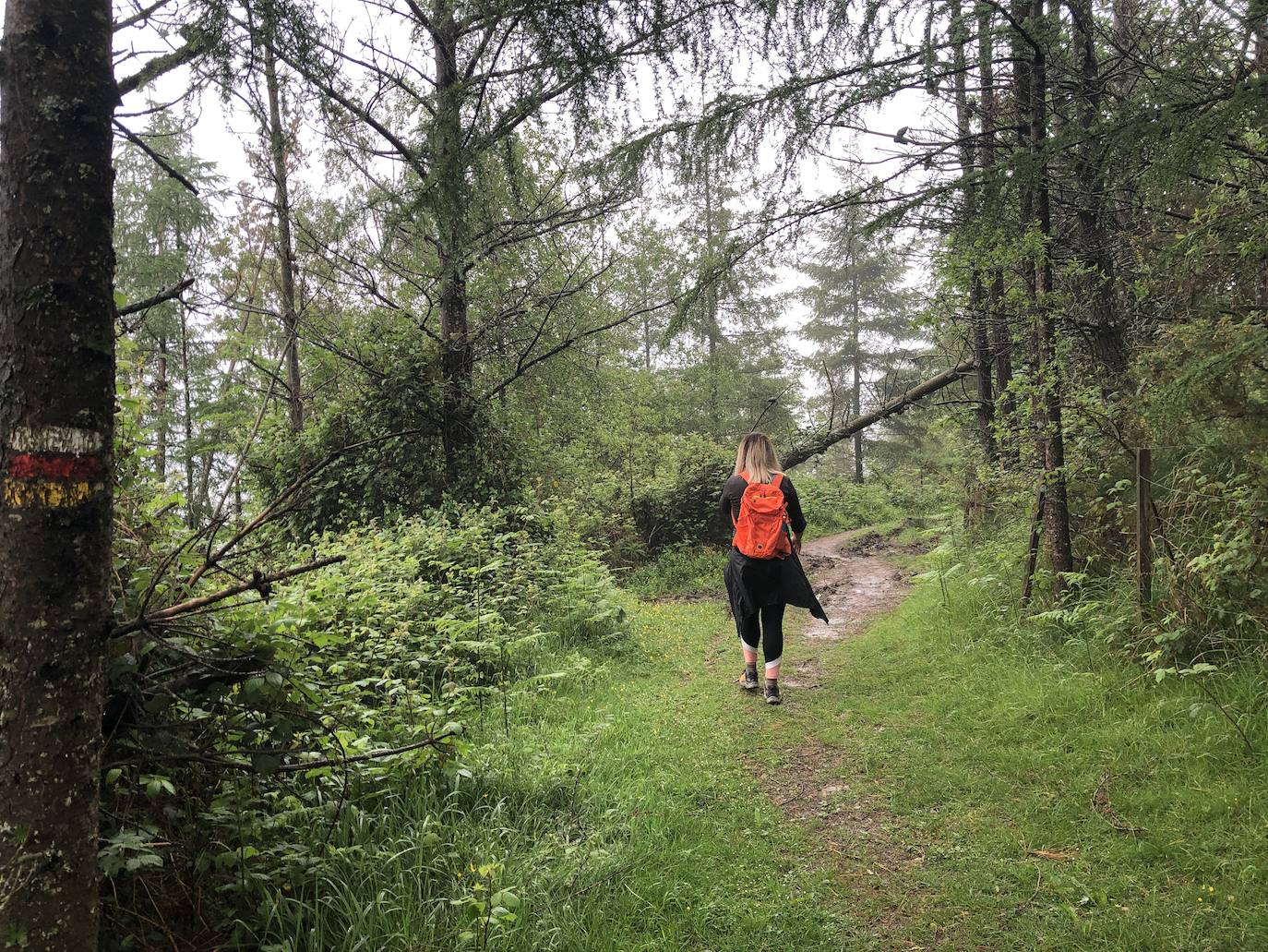 Fotos: Irukurutzeta, envuelta en un manto blanco