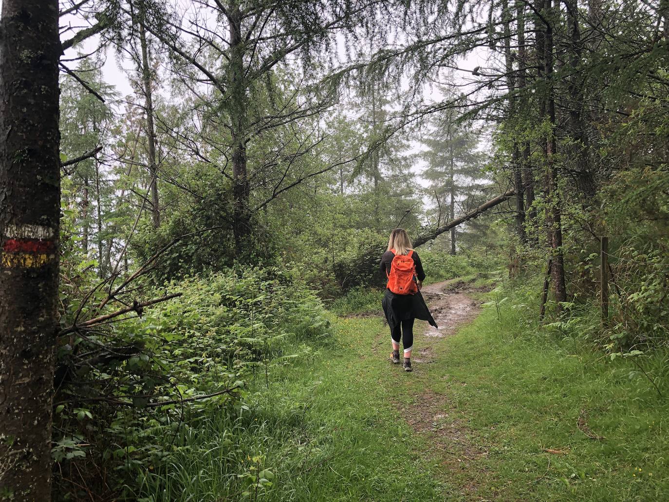 Fotos: Irukurutzeta, envuelta en un manto blanco