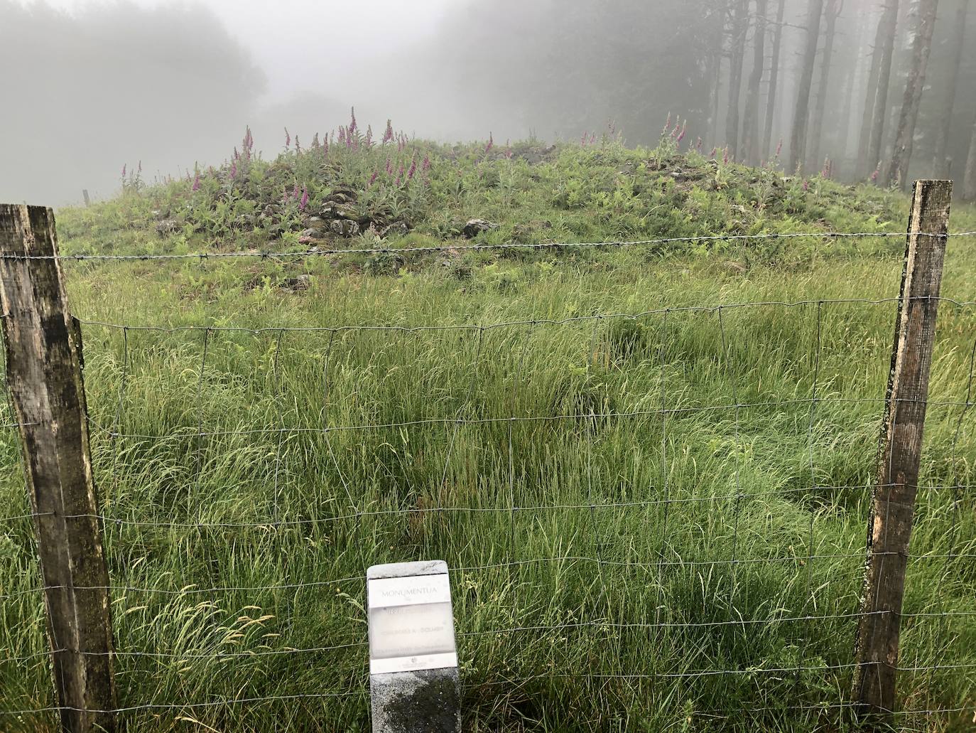 Fotos: Irukurutzeta, envuelta en un manto blanco