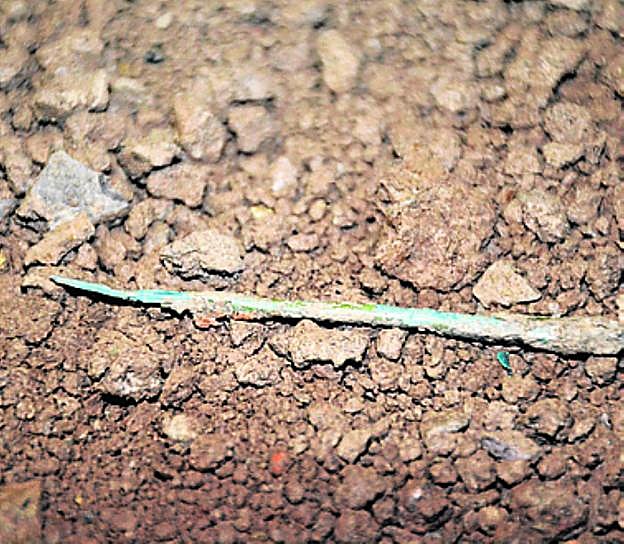 Ehunka arkeologo eta bolondresek parte hartu dute indusketatan. 