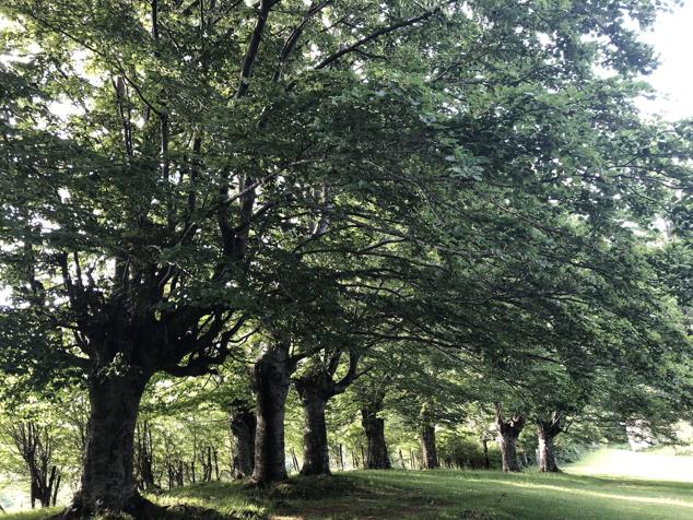 Fotos: Korrenegieta, el poder del viento